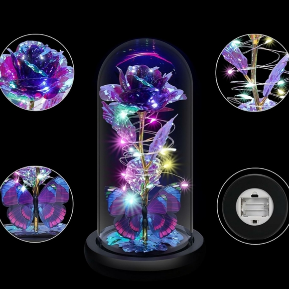 Unique Rose In the Glass Gift - Picture 3 of 6